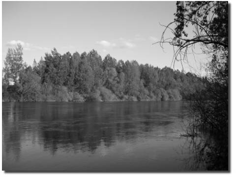 Rio Tera